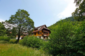 Гостиница Hotel Gasthaus Hirschen  Тодтнау